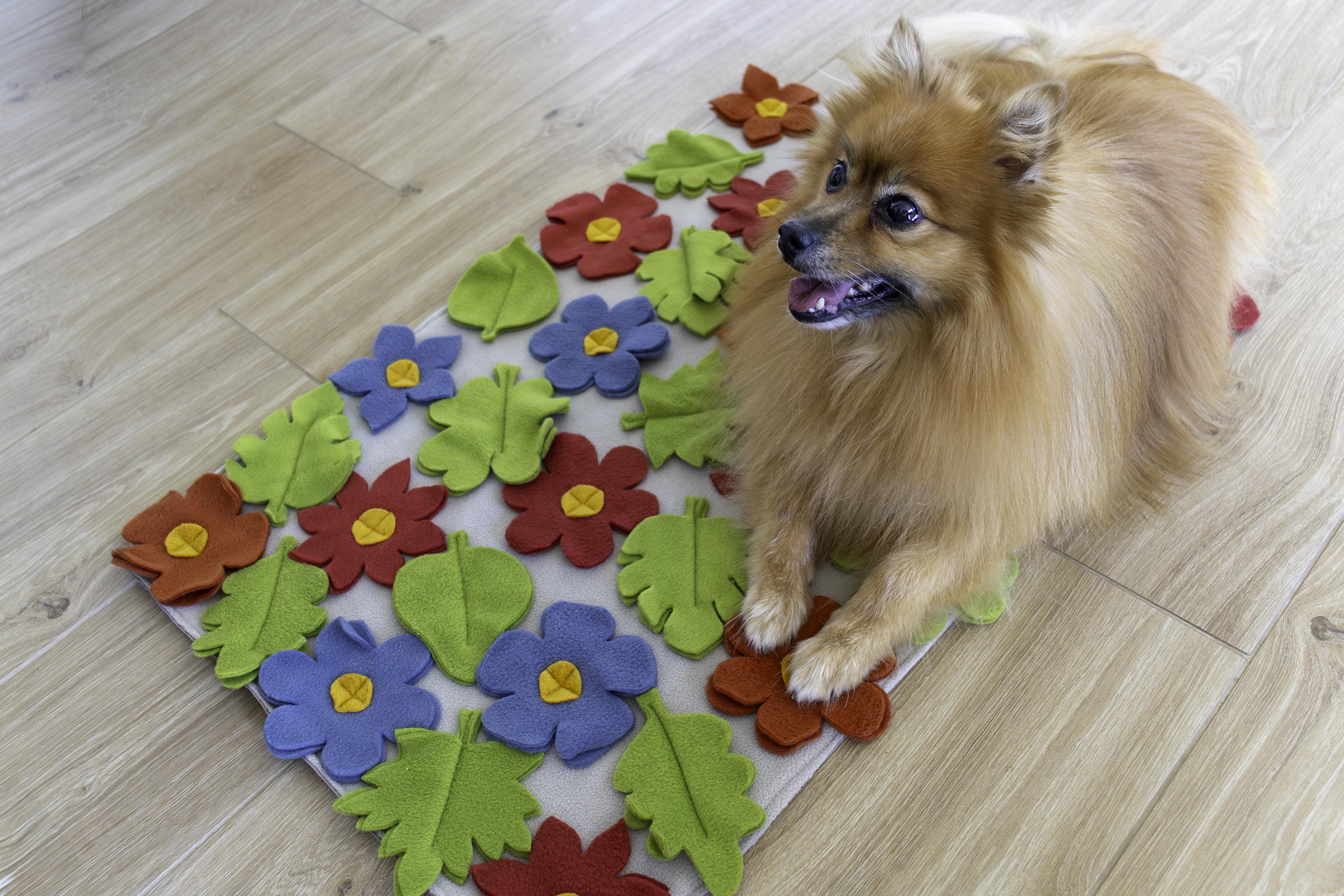 Cvjetni njuškavac za pse i mačke