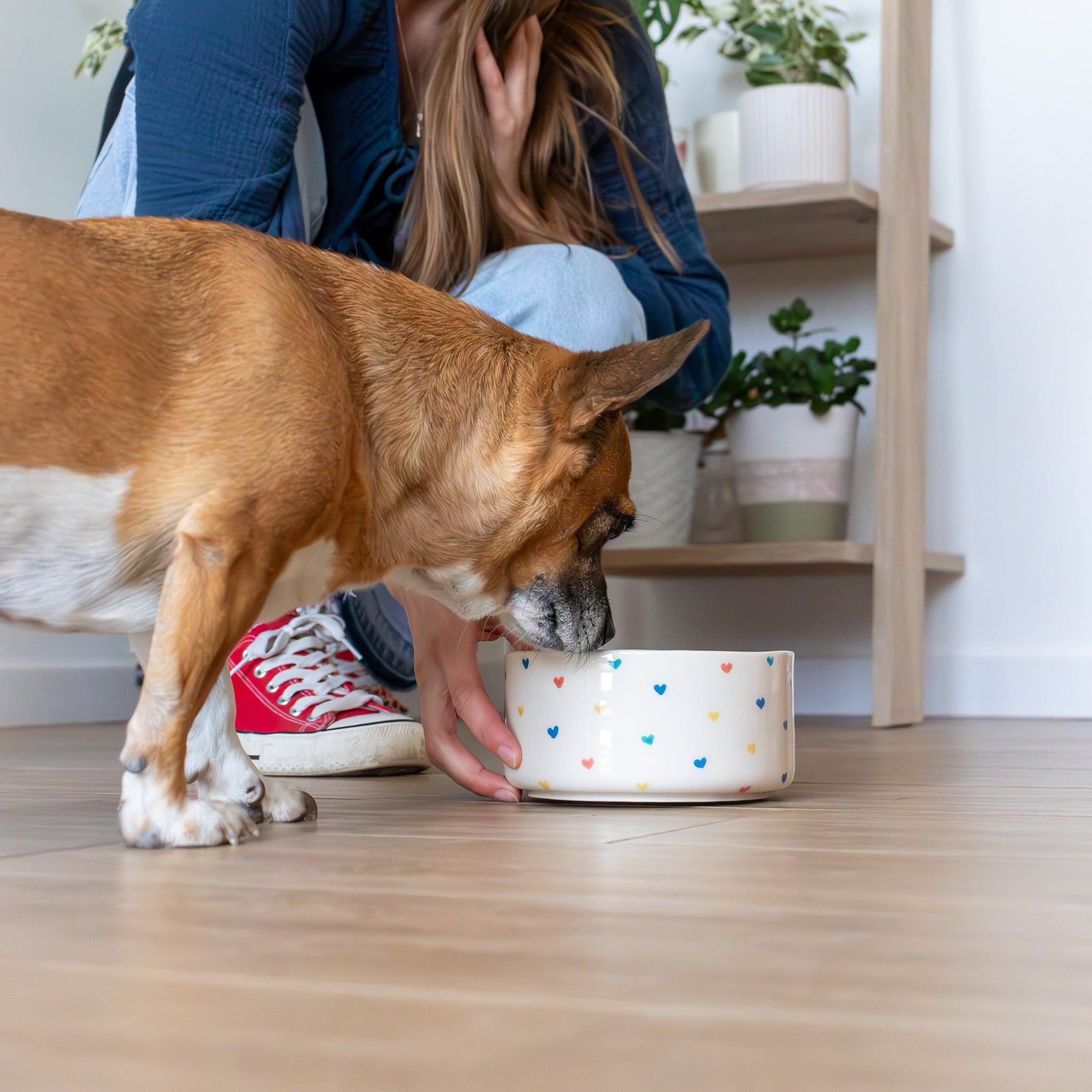 Keramička zdjelica za pse i mačke na srca