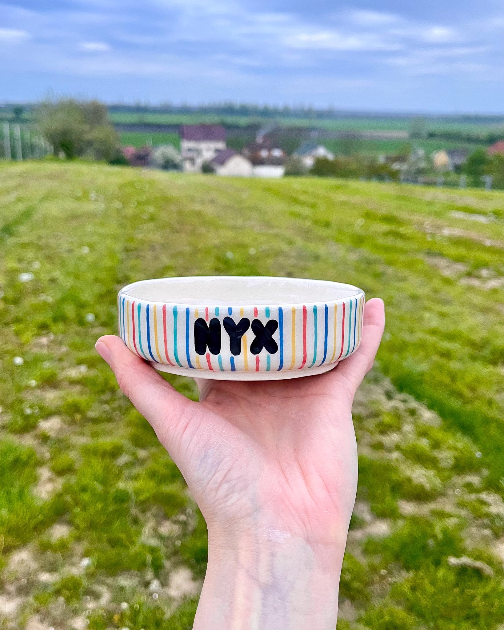 Personalizirana plitka keramička zdjelica za mačke na prugice