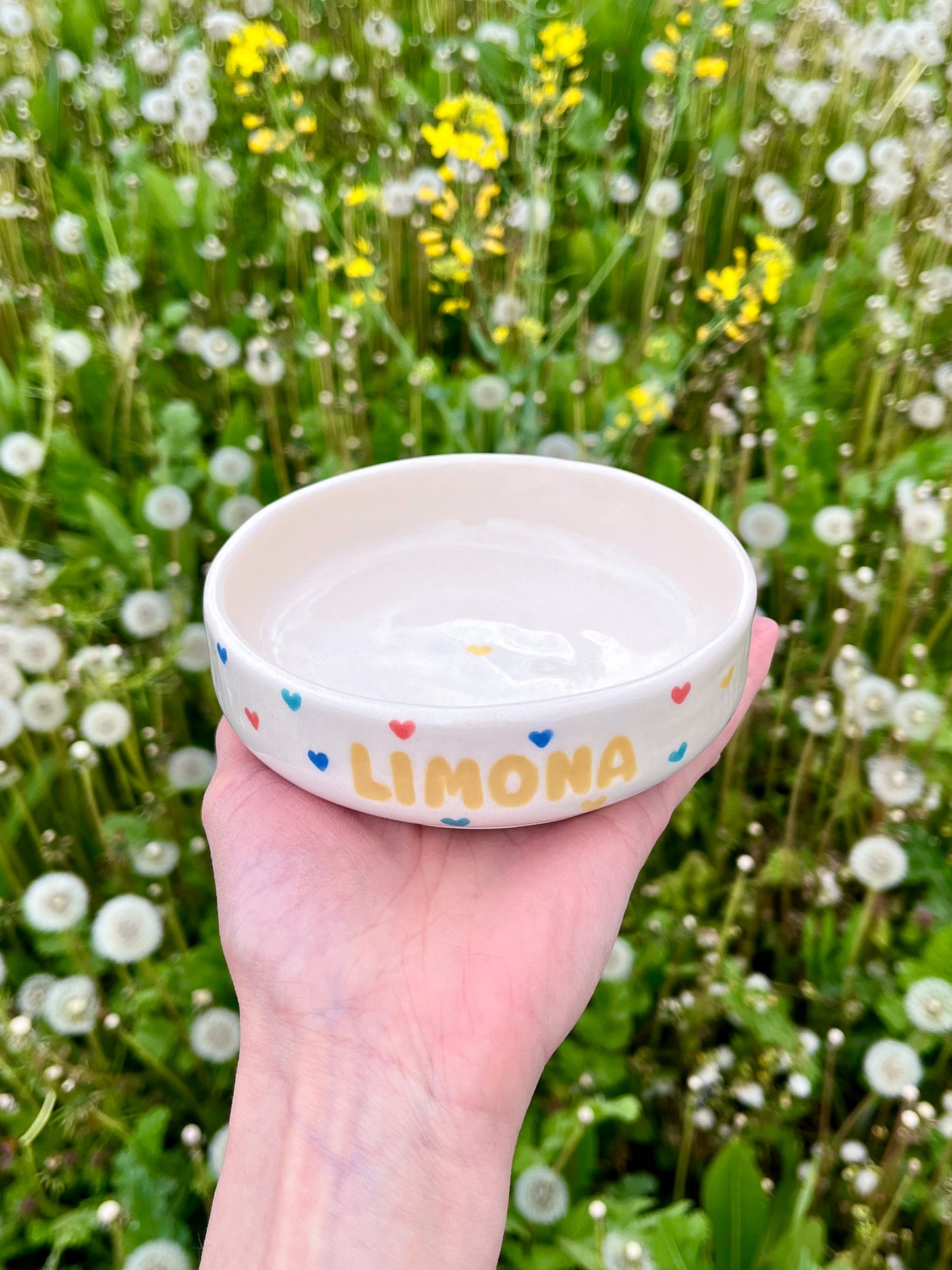 Plitka personalizirana keramička zdjelica za mačke na srca