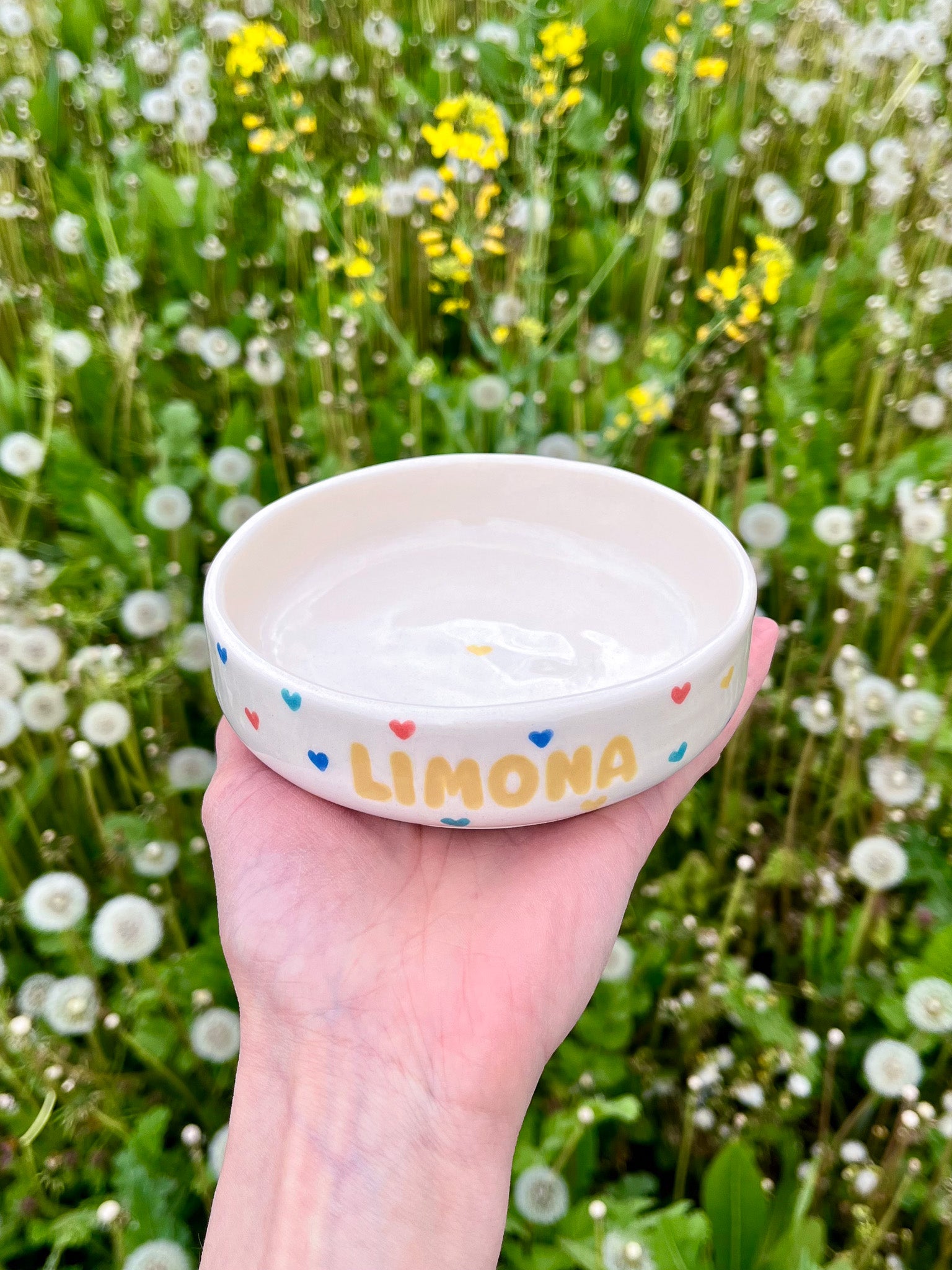 Plitka personalizirana keramička zdjelica za mačke na srca